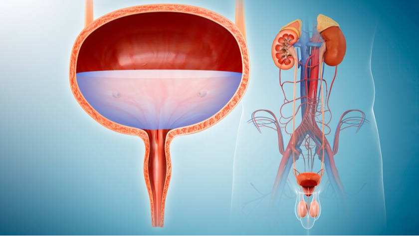 Urology and andrology care at Suvira Hospital, Mansarovar, Jaipur